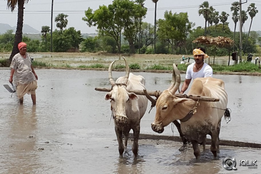 Krishnamma Kalipindi Iddarini